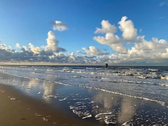 Seaview With Style Appartement Oostende