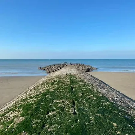 Lejlighed Seaview With Style *