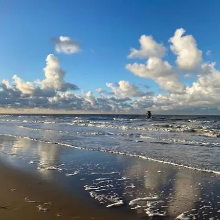 Seaview With Style Διαμέρισμα Οστένδη